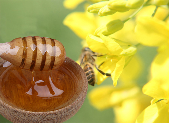 如何正确食用蜂蜜